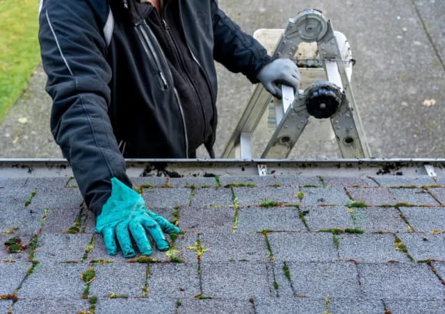 Skuteczne sposoby na pozbycie się mchu z dachówki – proste metody i porady Skuteczne sposoby na pozbycie się mchu z dachówki – proste metody i porady